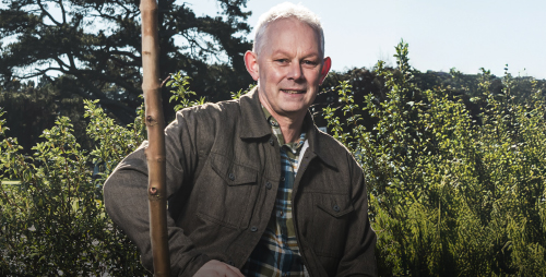 Man planting tree