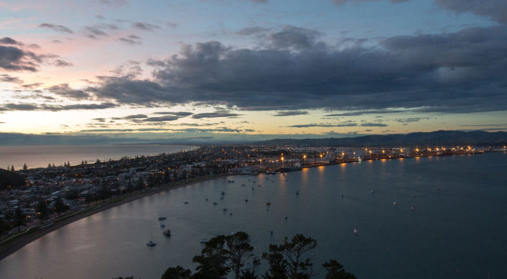 arial view of Tauranga at night time