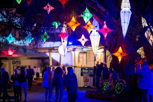 Lanterns hanging from a tree at night