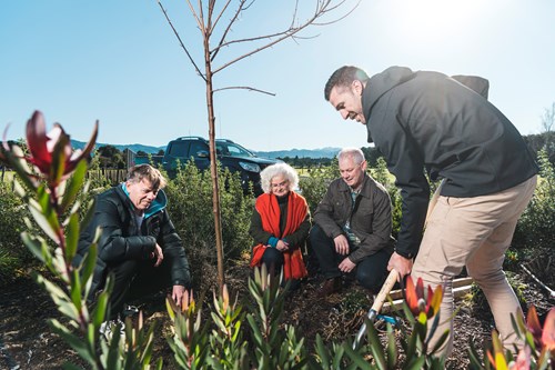 People planting trees