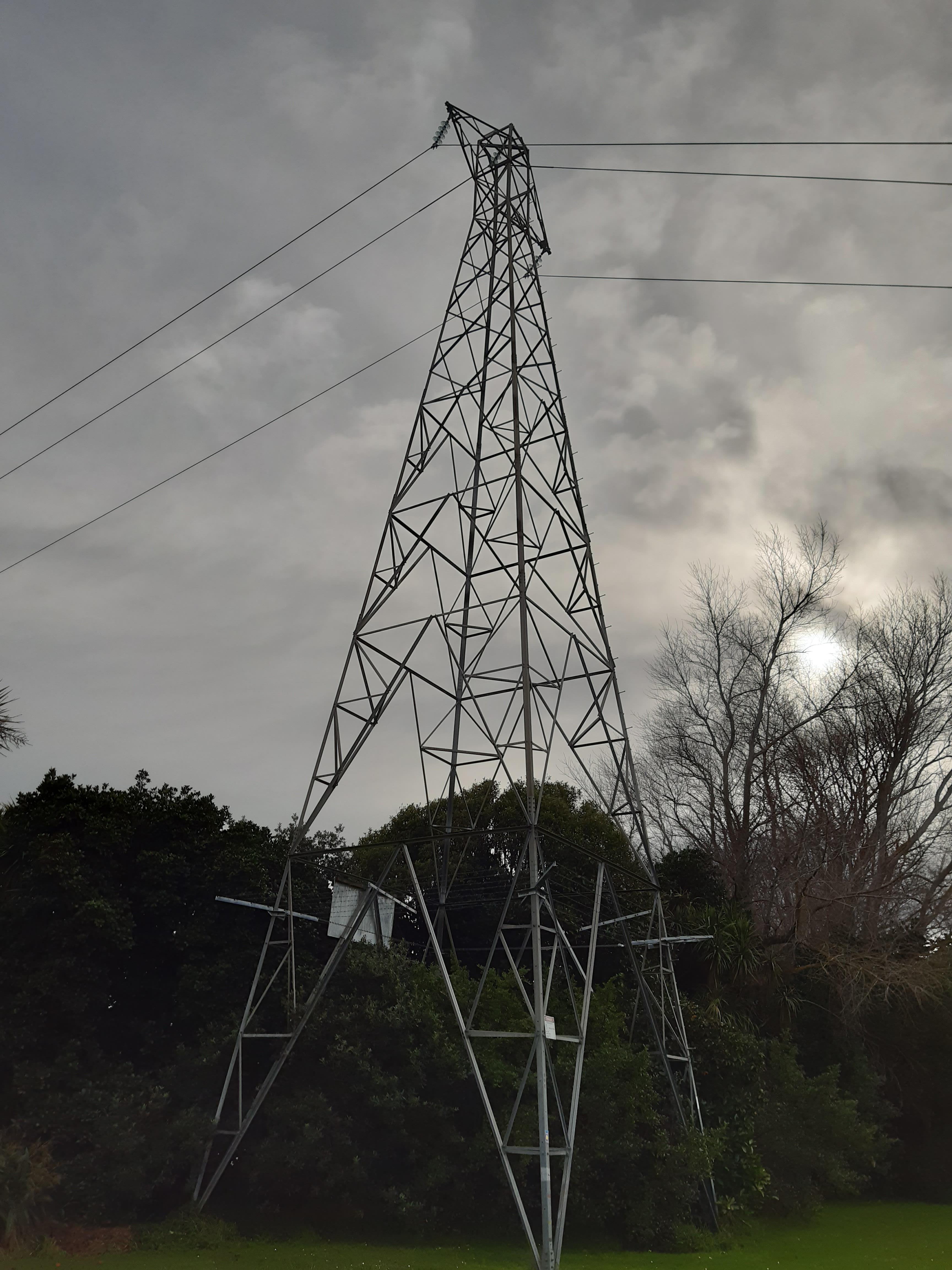 Photo from ground of Powerco's Takarangi Street tower